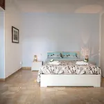 Pace E Bene * Assisi